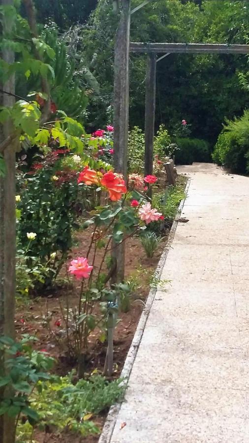 Quinta D'Avo Amelia Bed & Breakfast Alquerubim Bagian luar foto