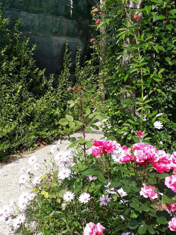 Quinta D'Avo Amelia Bed & Breakfast Alquerubim Bagian luar foto